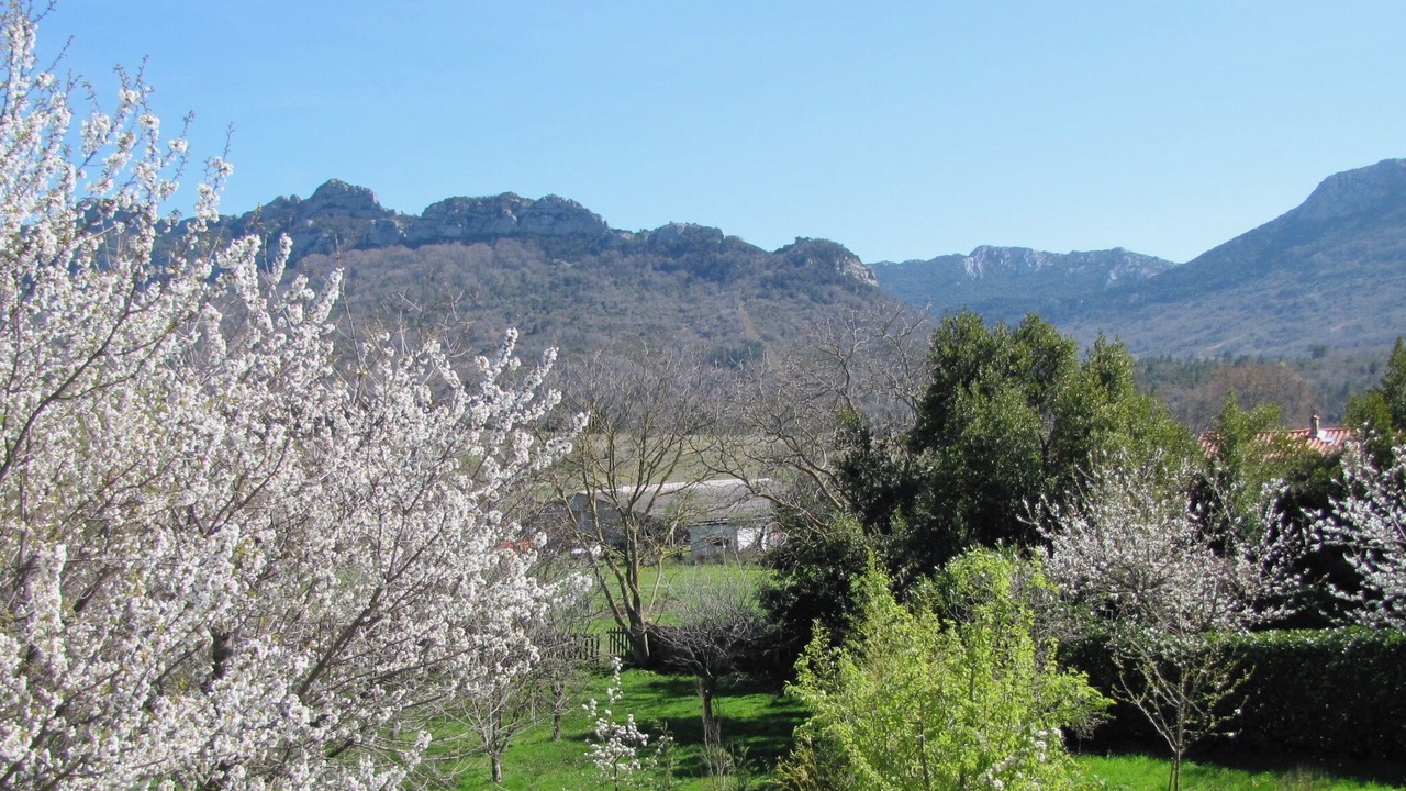 Photo of Outdoor in Soulatge