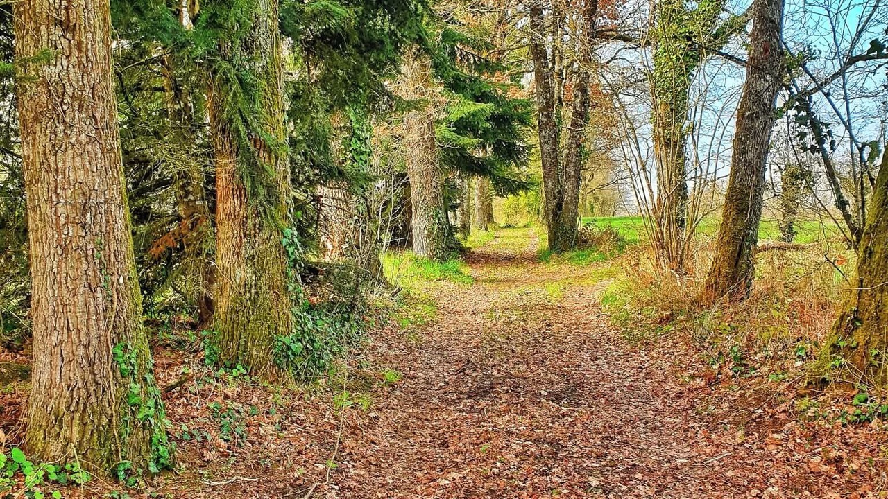 Photo of Others in Montirat