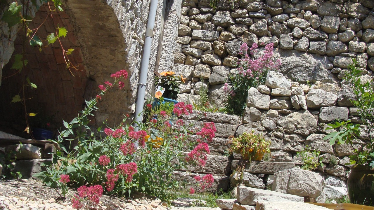 Photo of Outdoor in Alissas