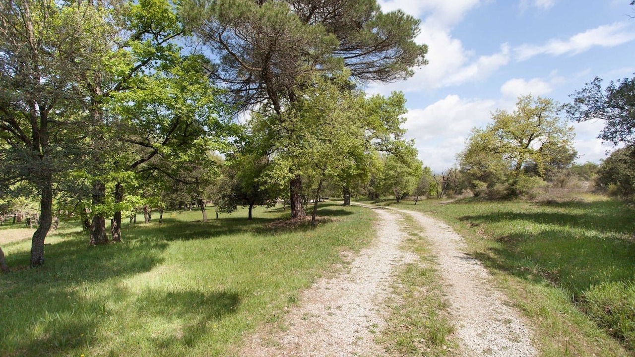 Photo of Outdoor in Sant Julia de Vilatorta