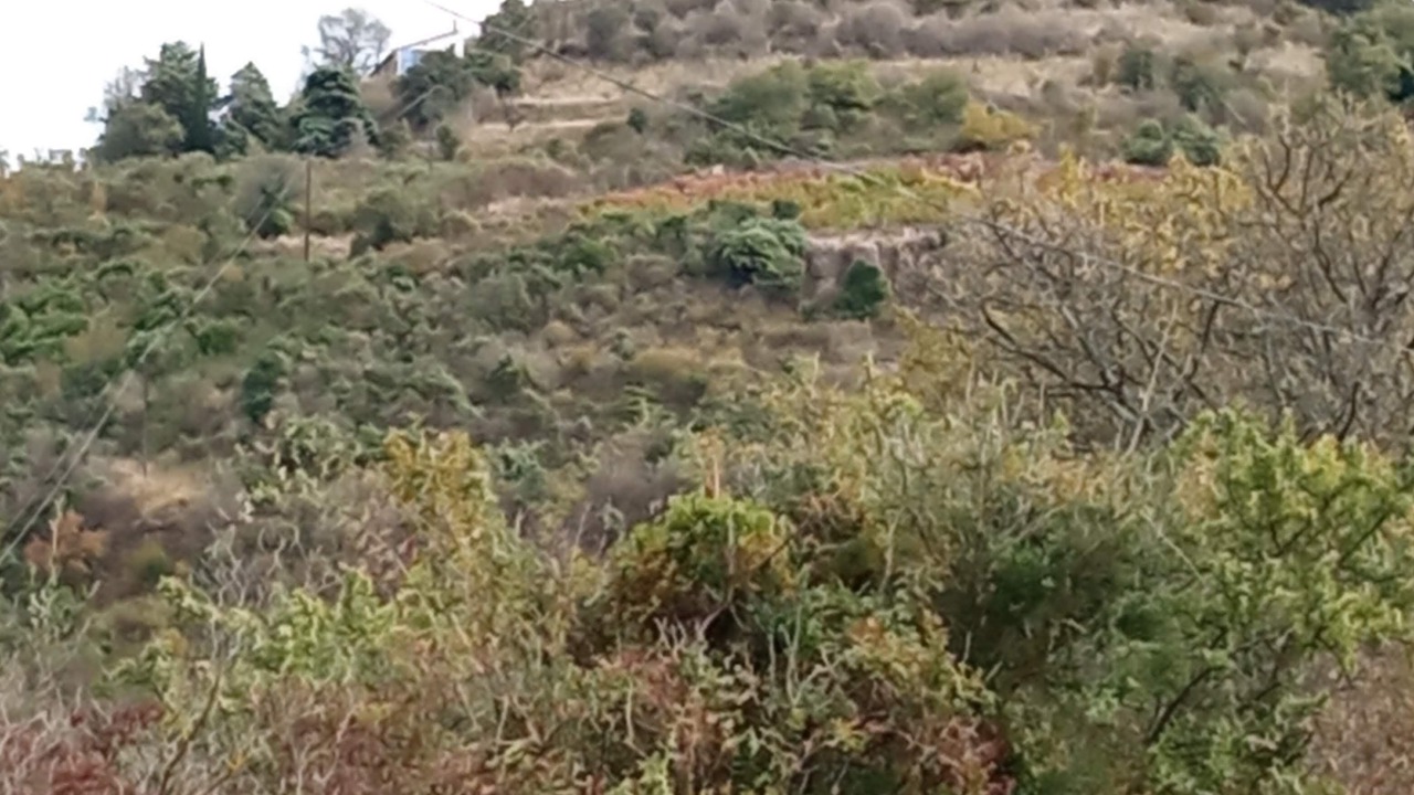 Photo of Others in Montgaillard