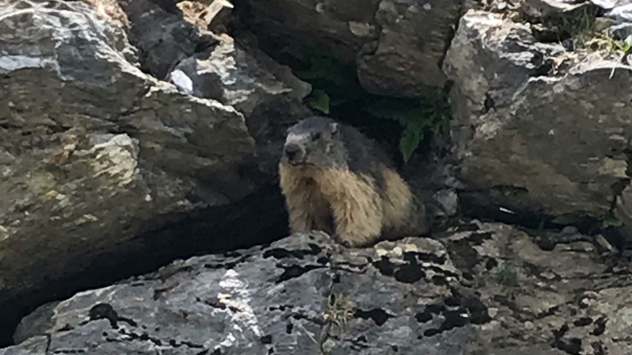 Photo of Others in Gavarnie-Gedre