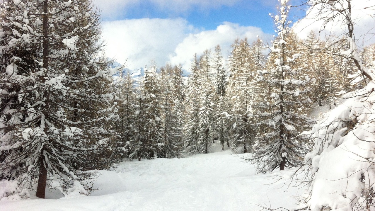 Photo of Outdoor in Montchavin