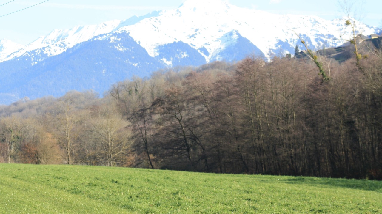 Photo of Outdoor in Coise-Saint-Jean-Pied-Gauthier
