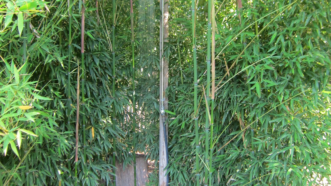 Photo of Outdoor in Alenya