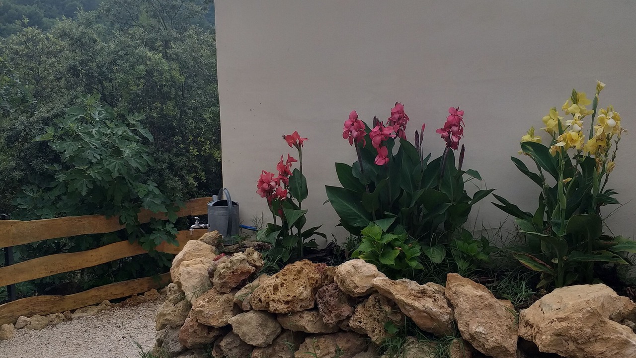 Photo of Outdoor in Le Barroux