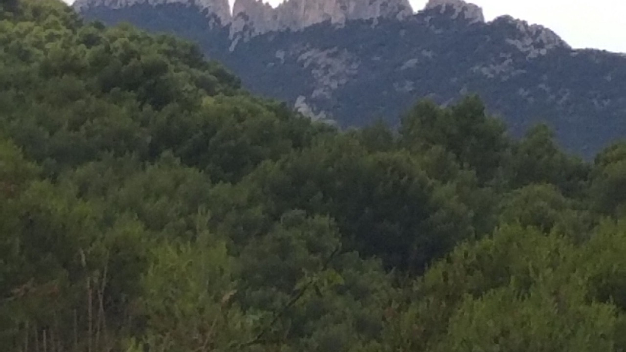 Photo of Others in Le Barroux