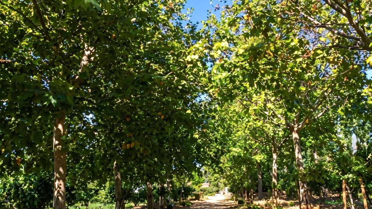 Photo of Outdoor in Arles