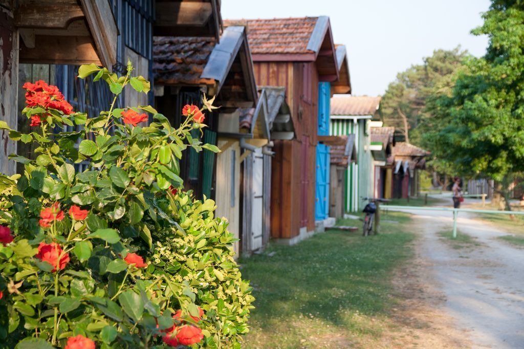 Photo of Outdoor in Mios