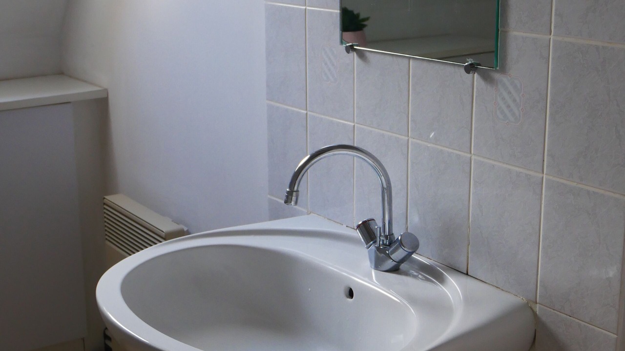 Photo of Bathroom in Thiezac