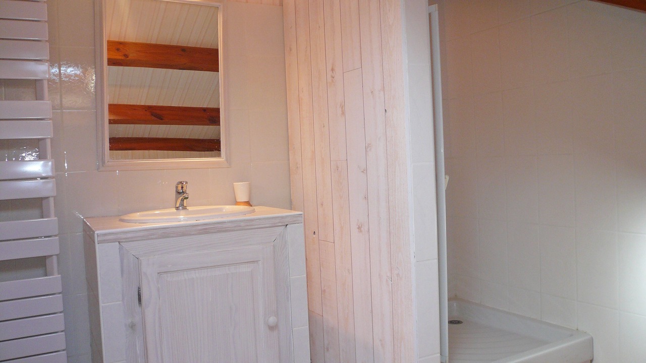 Photo of Bathroom in Saugues