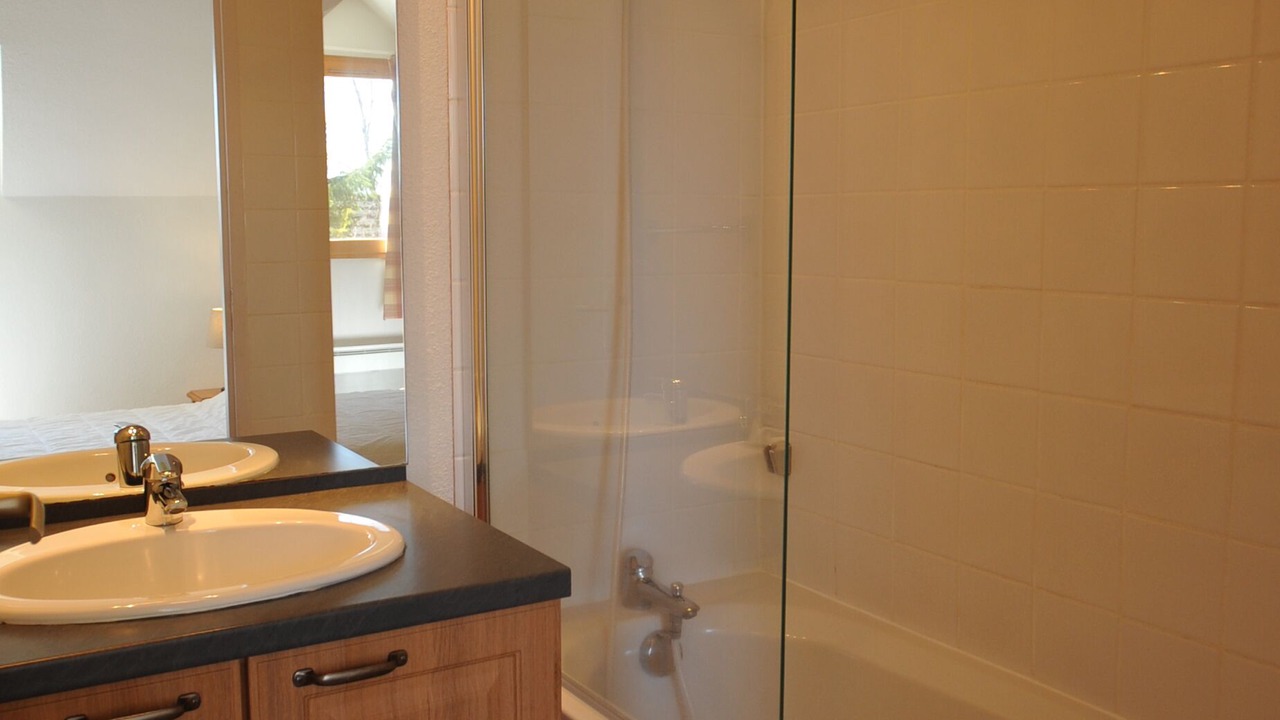Photo of Bathroom in Besse-et-Saint-Anastaise
