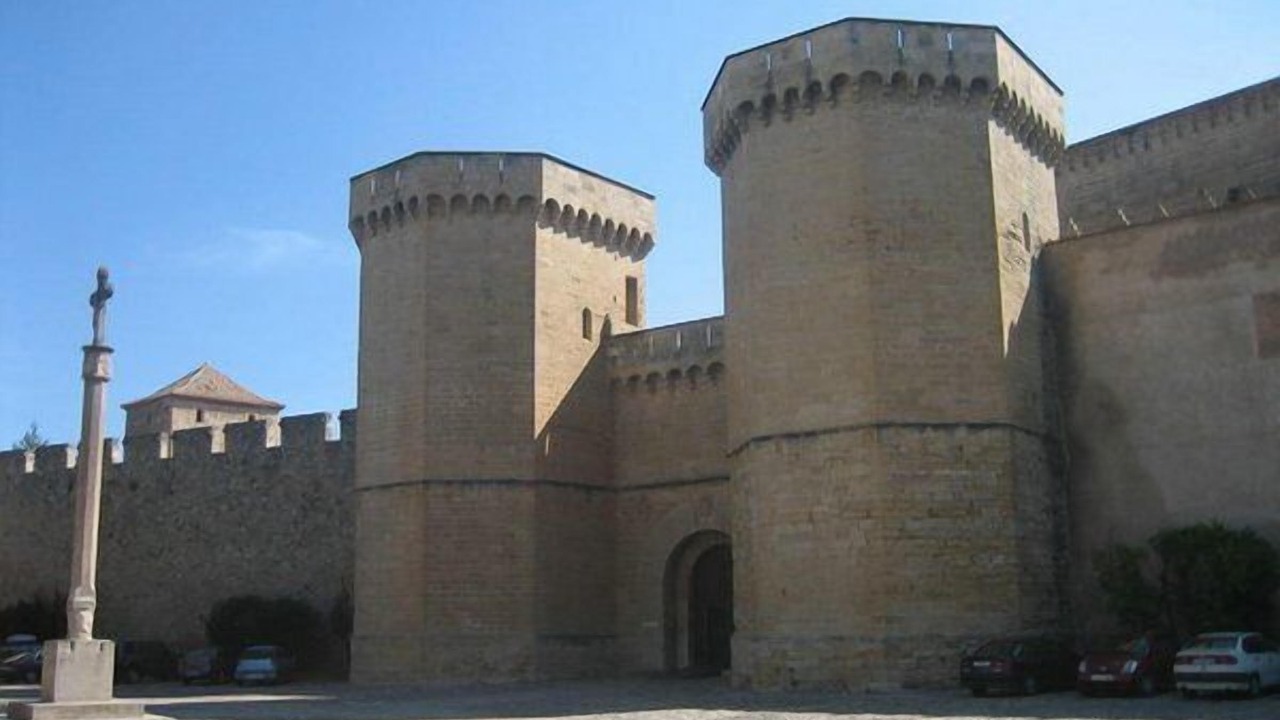 Photo of Others in Fores