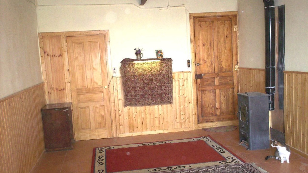 Photo of Others in Fores