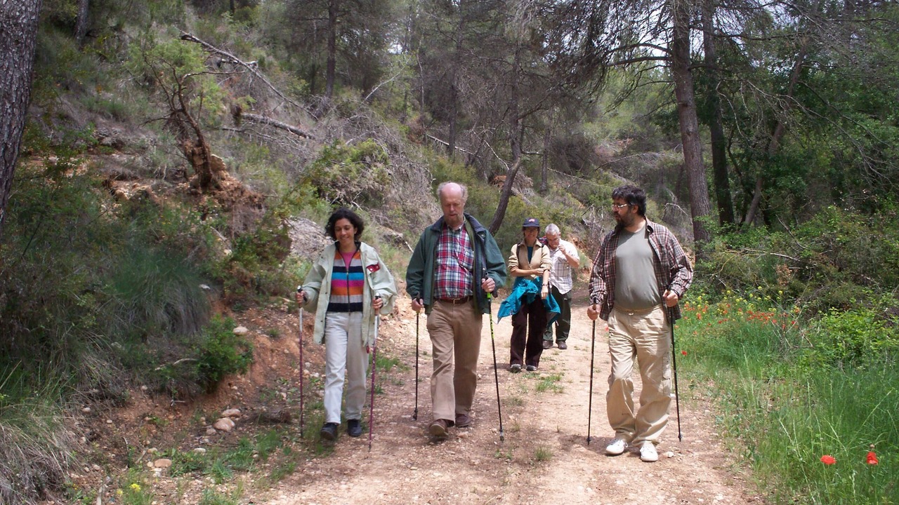 Photo of Others in Fores
