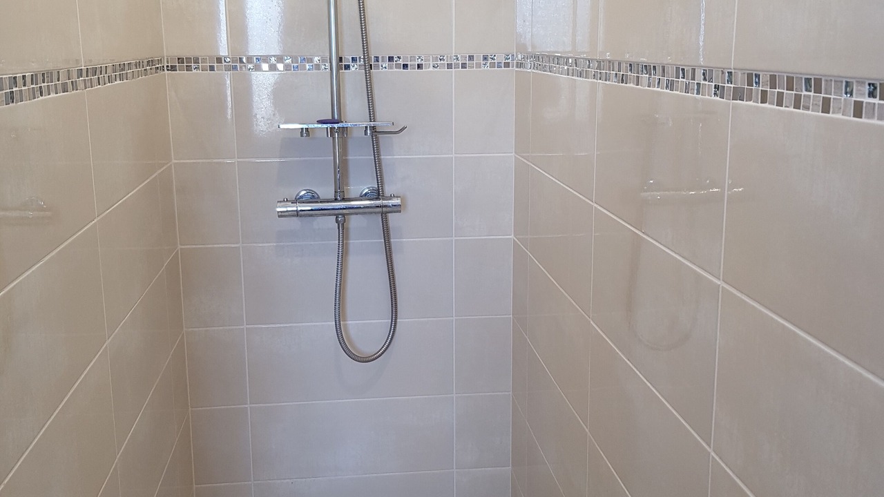 Photo of Bathroom in Brujas