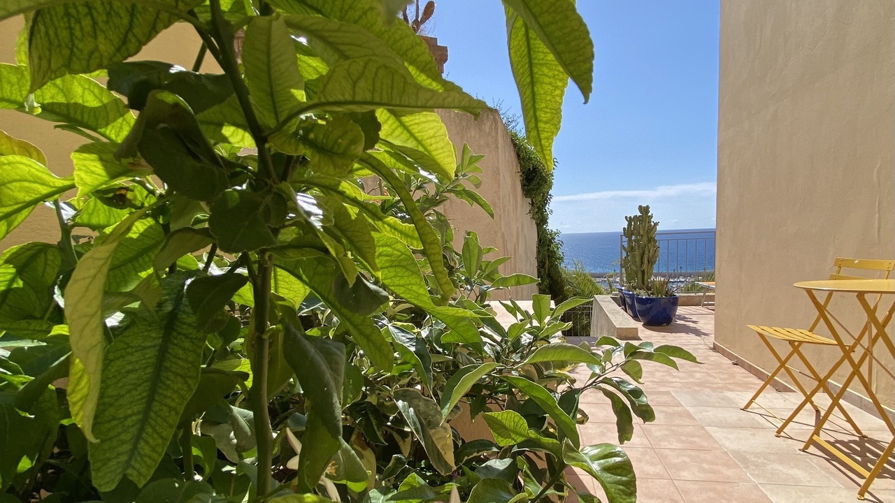 Photo of Outdoor in Menton