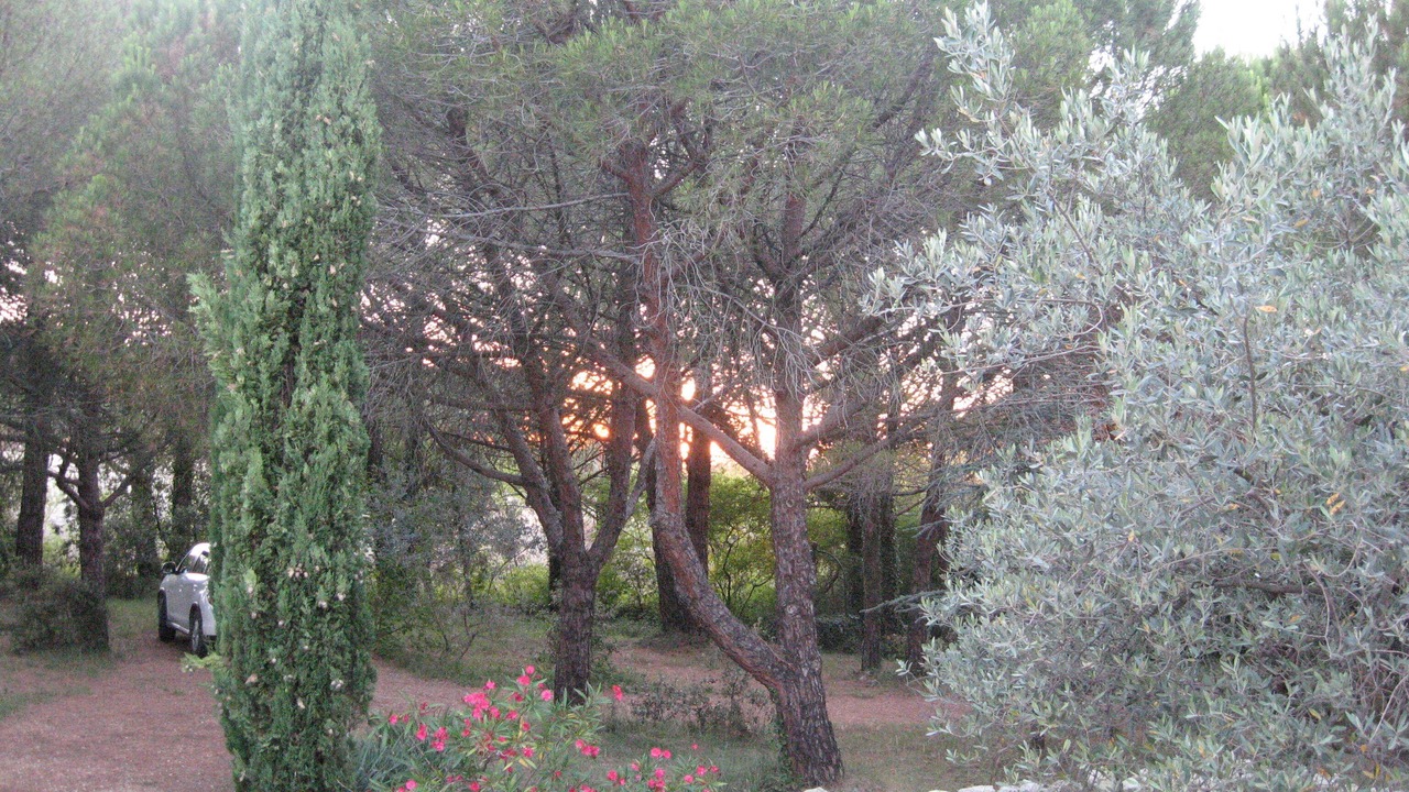 Photo of Outdoor in Rochegude