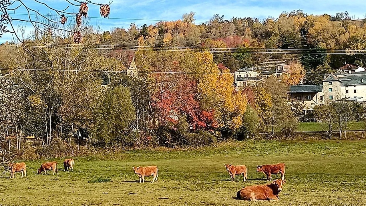 Photo of Others in Guils de Cerdanya