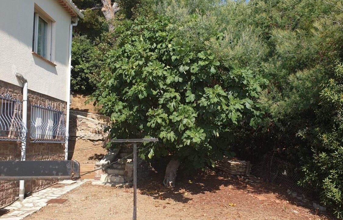 Photo of Outdoor in Les Issambres