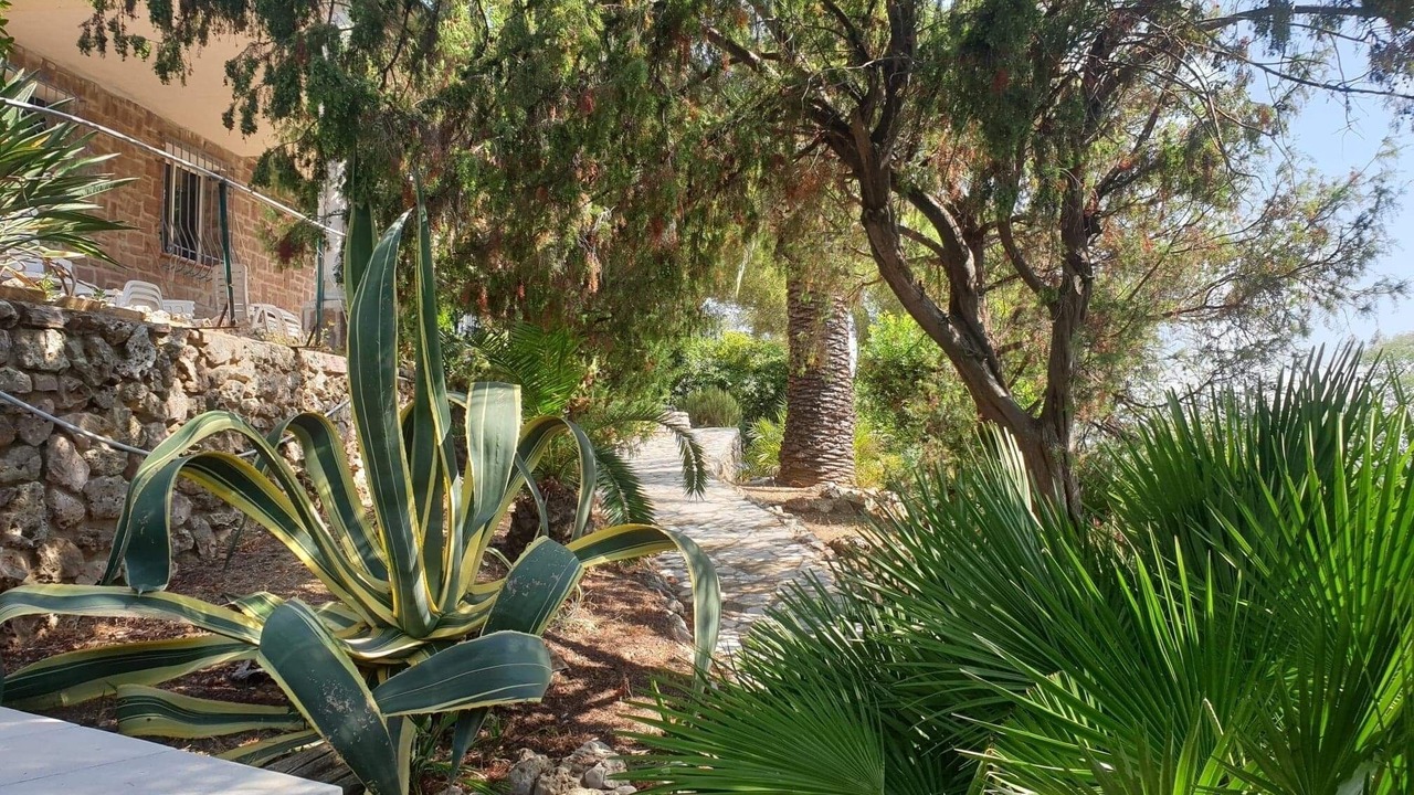 Photo of Outdoor in Les Issambres