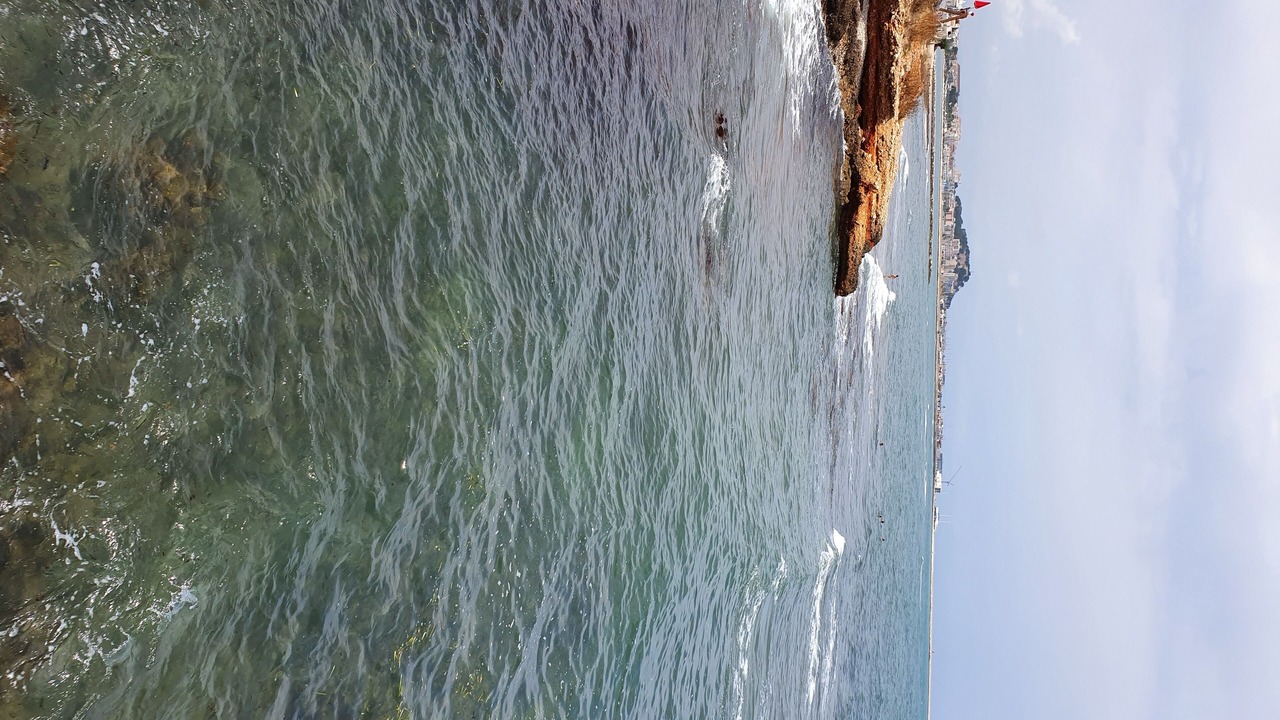 Photo of Others in Le Port