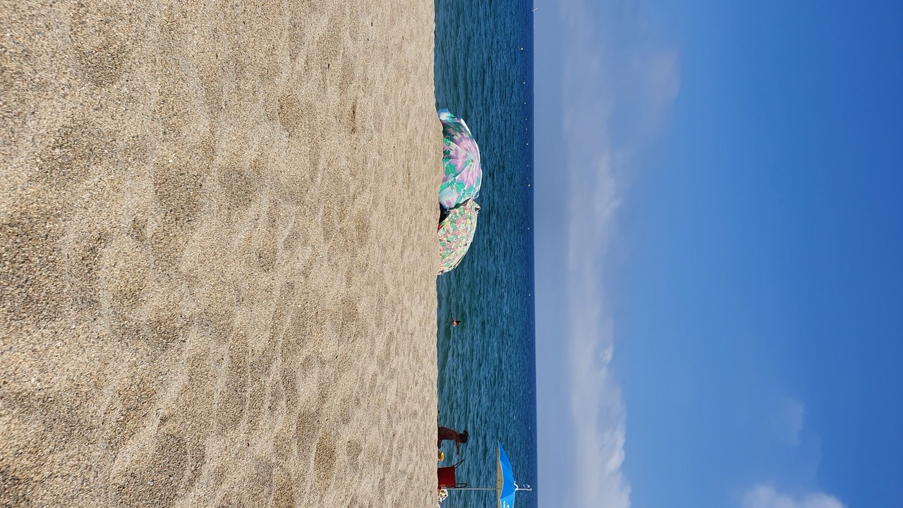 Photo of Others in Le Port