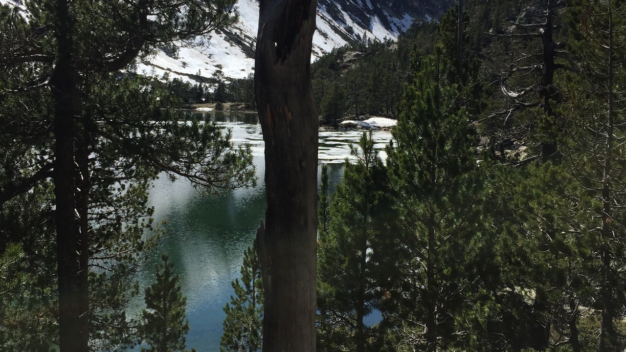 Photo of Outdoor in Pailhac