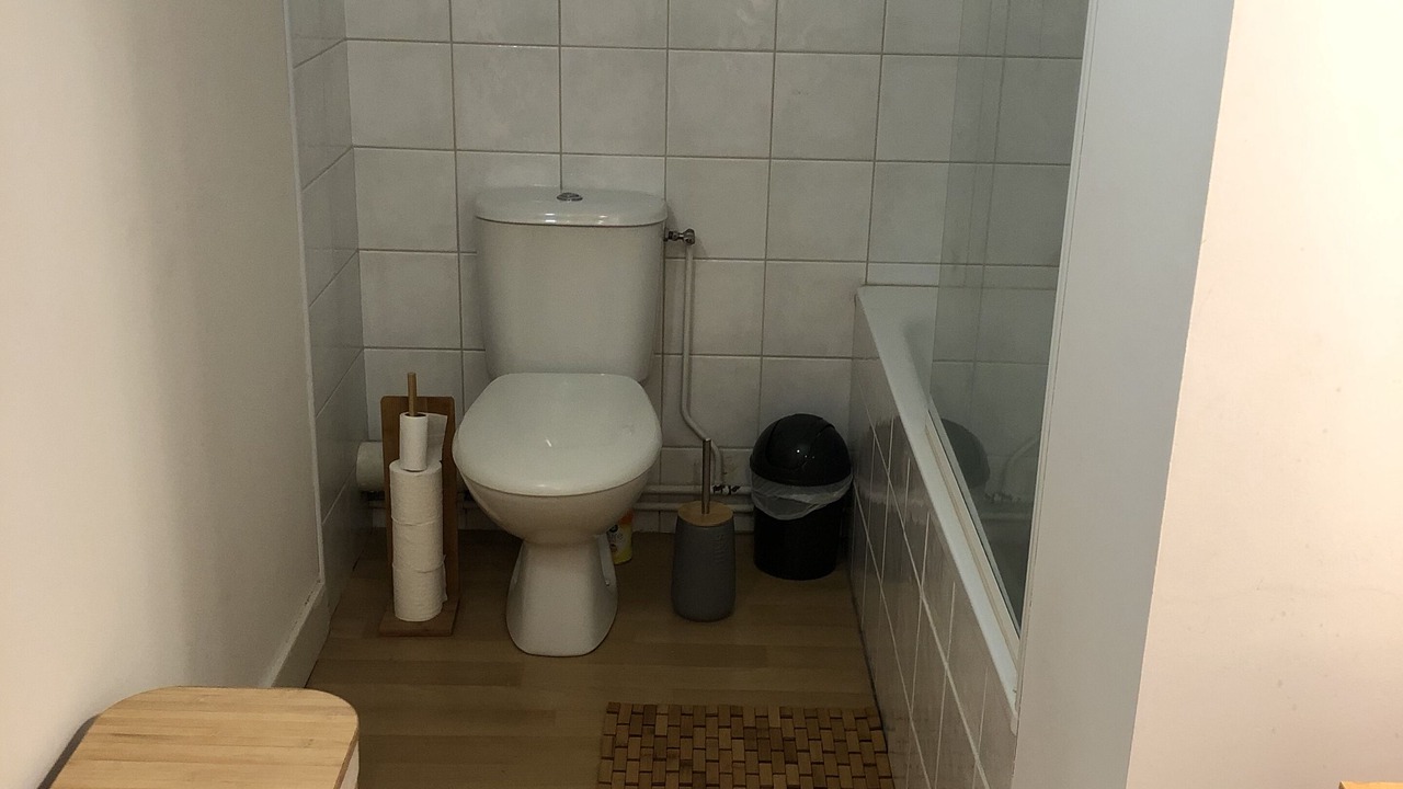 Photo of Bathroom in Guzet Neige