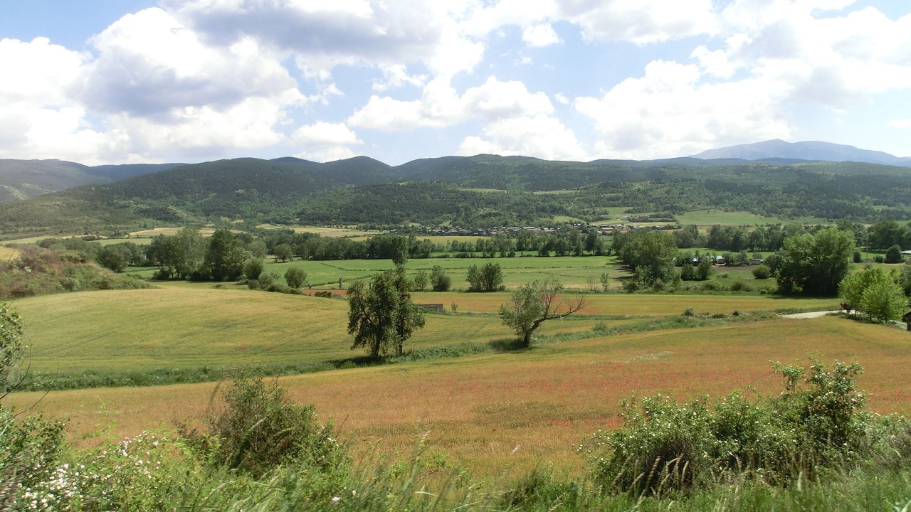 Photo of Others in Palau-de-Cerdagne