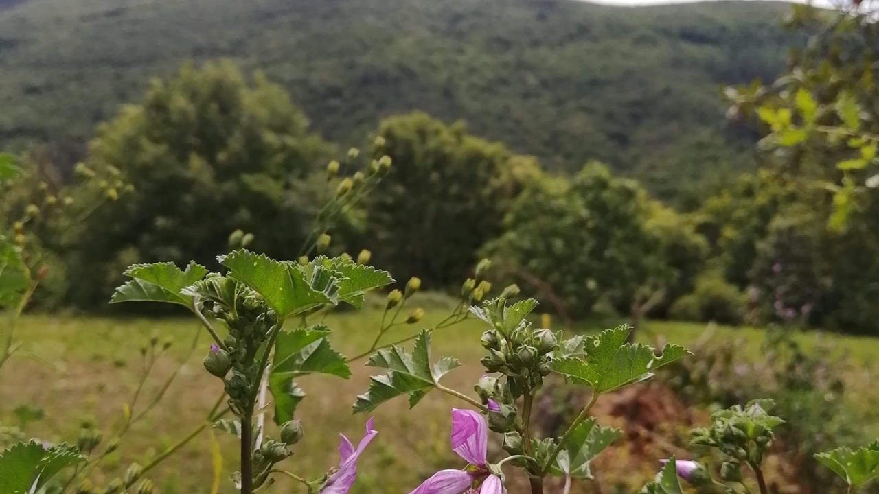 Photo of Outdoor in Mialet