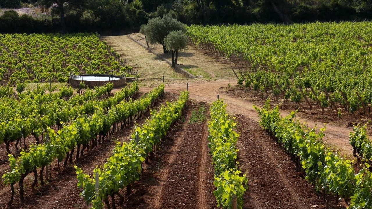 Photo of Outdoor in Le Pradet