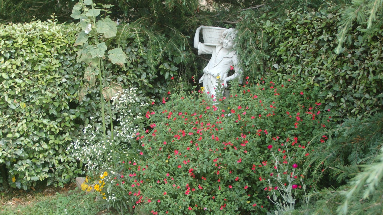 Photo of Outdoor in Le Segur