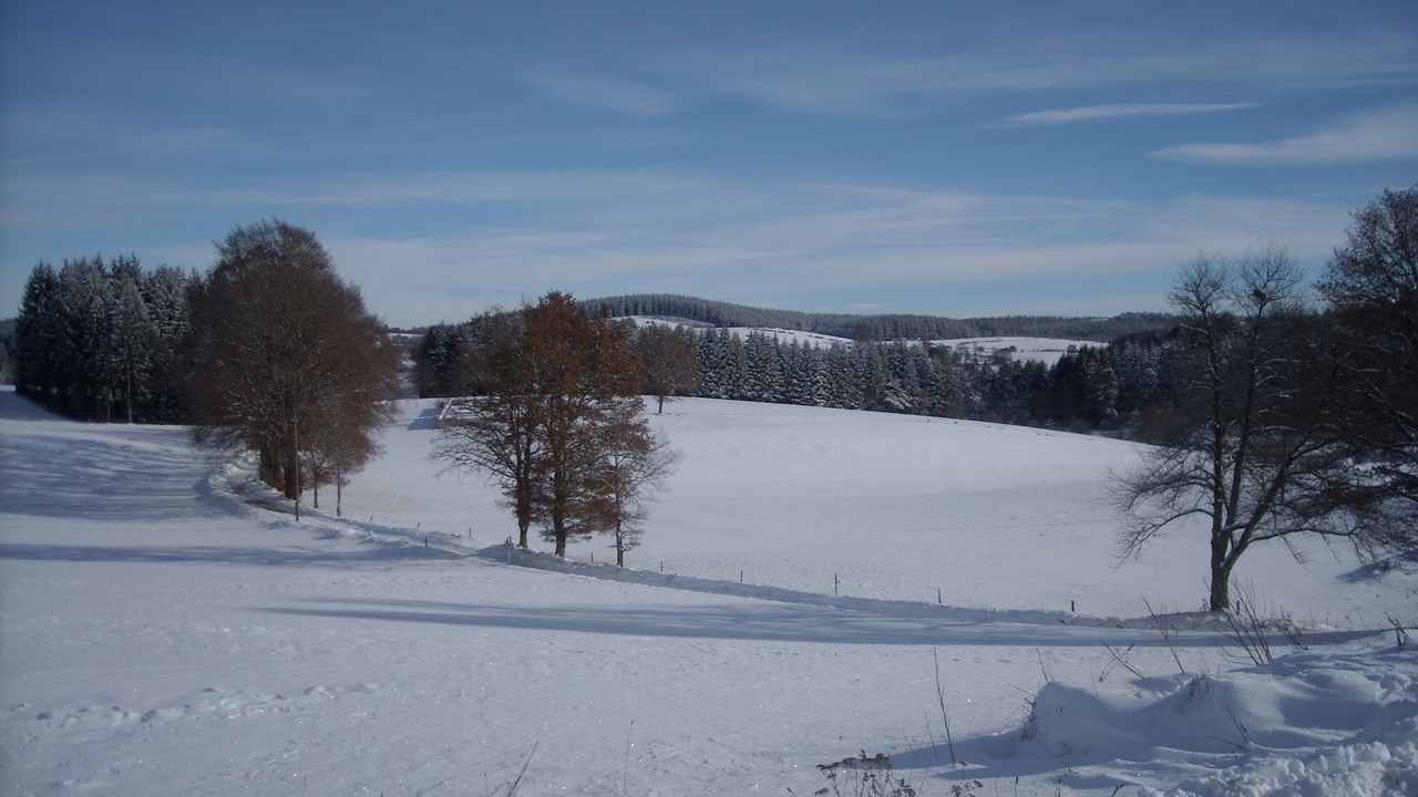 Photo of Others in Bonnefond