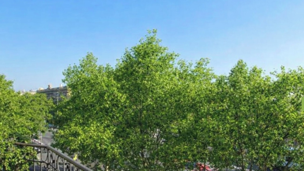 Photo of Outdoor in Ciutat Vella