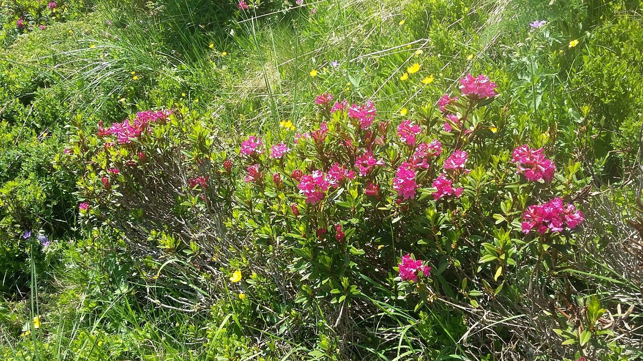 Photo of Outdoor in Nancroit