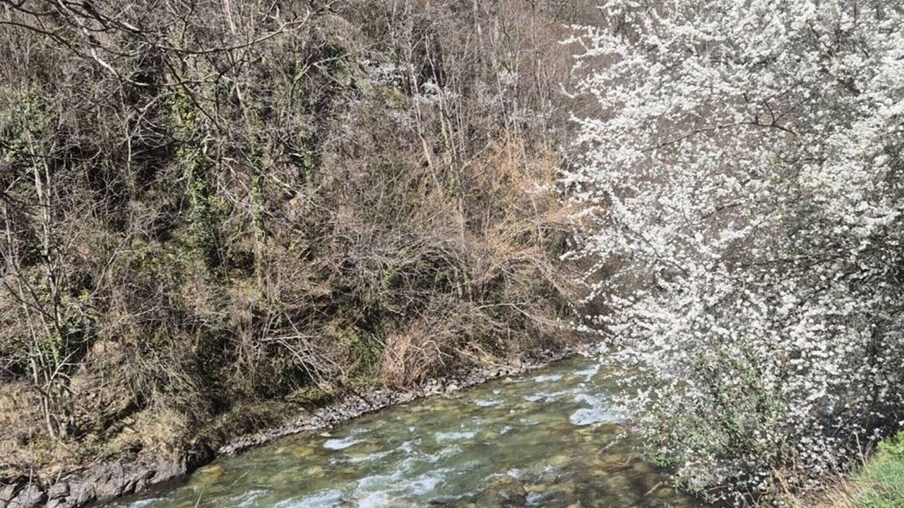 Photo of Others in Cauterets