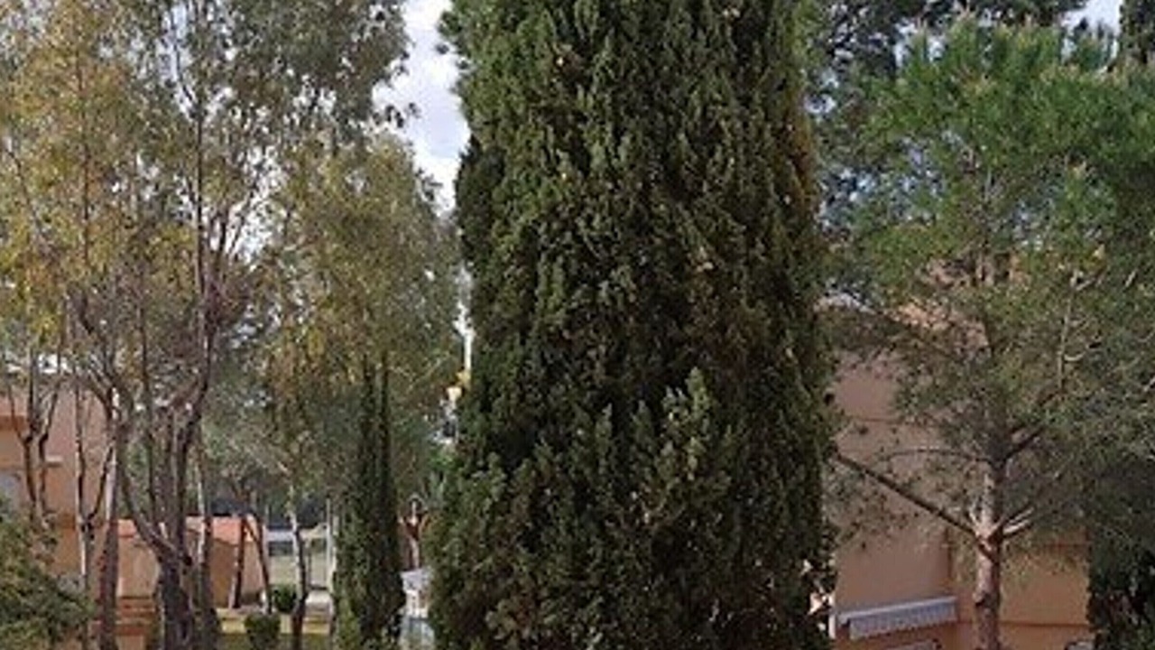 Photo of Outdoor in Argeles Plage