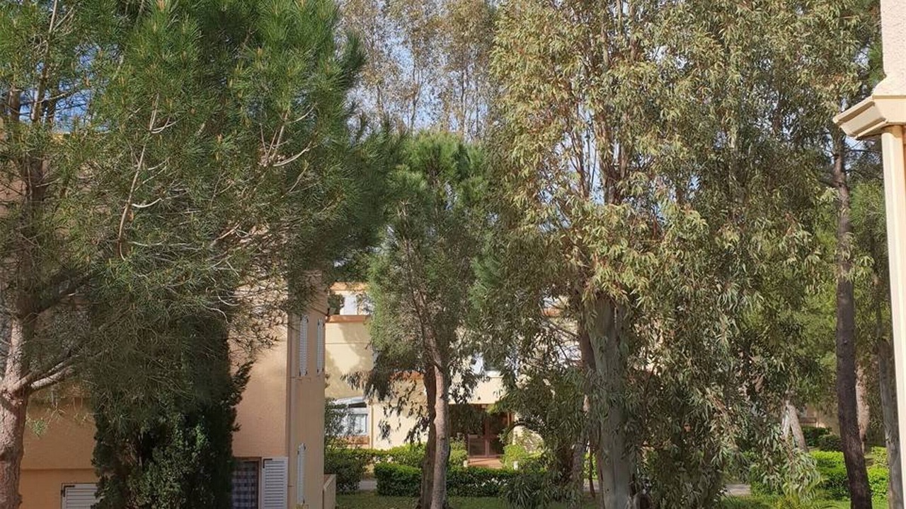 Photo of Outdoor in Argeles Plage