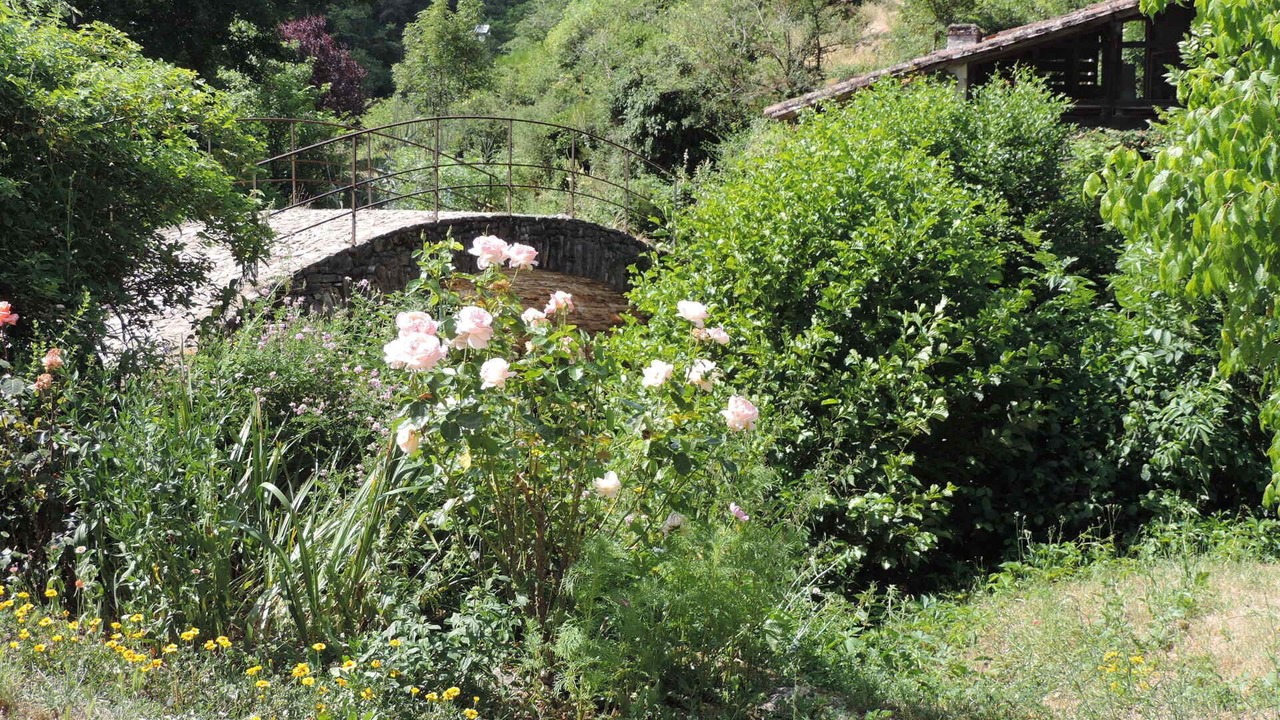 Photo of Outdoor in Sonnac
