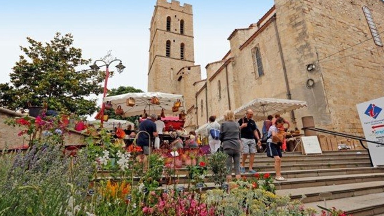 Photo of Others in Plage d'Argeles