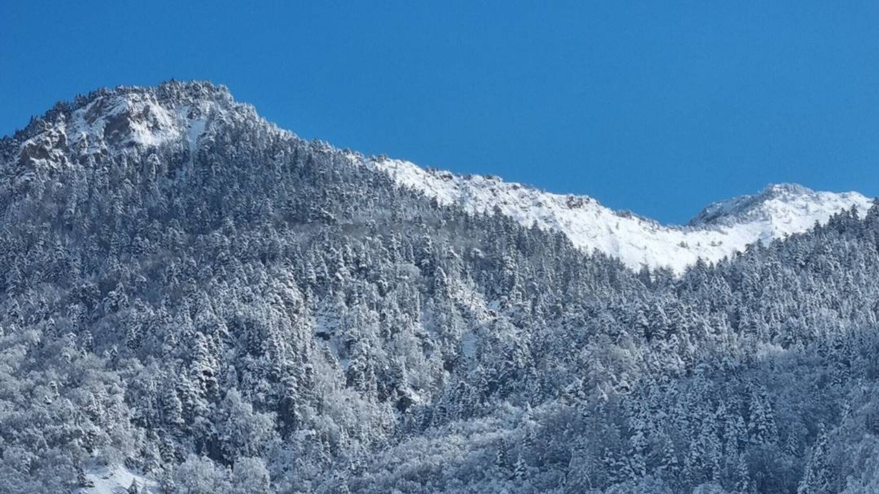 Photo of Others in Cauterets
