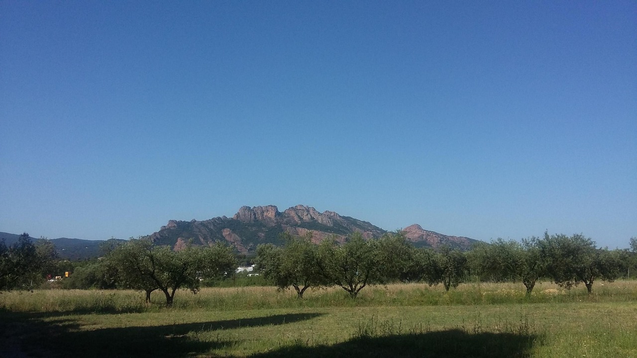 Photo of Outdoor in Roquebrune-sur-Argens