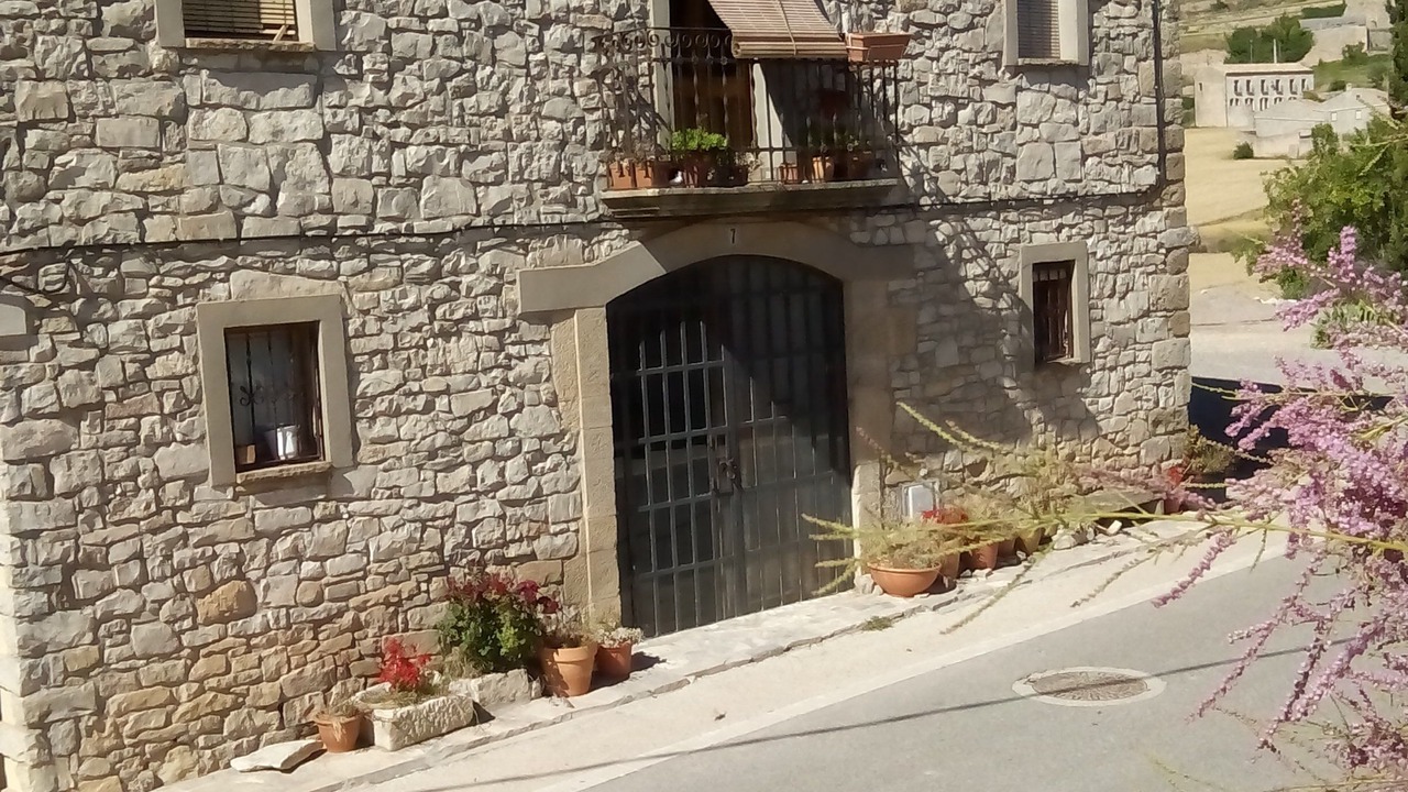 Photo of Outdoor in Fores
