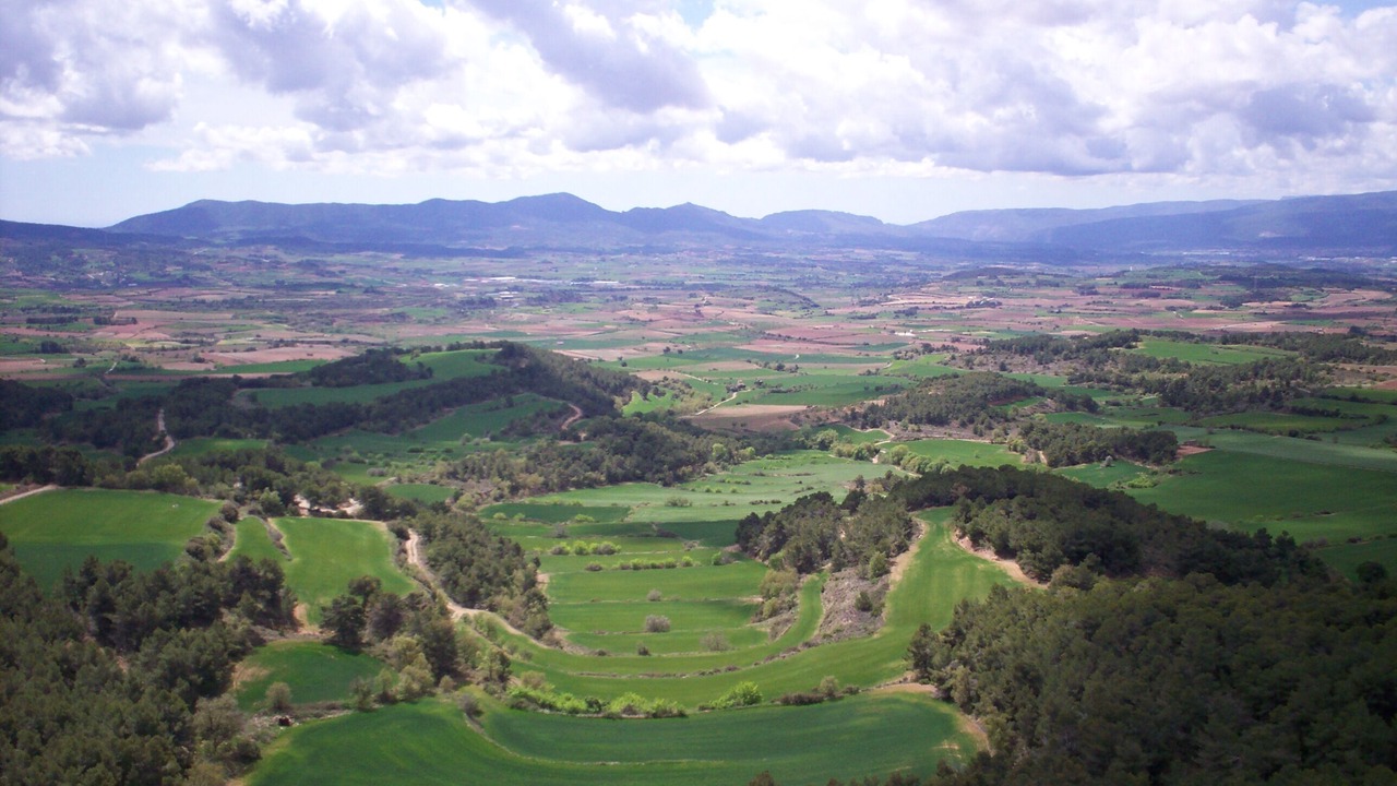Photo of Others in Fores