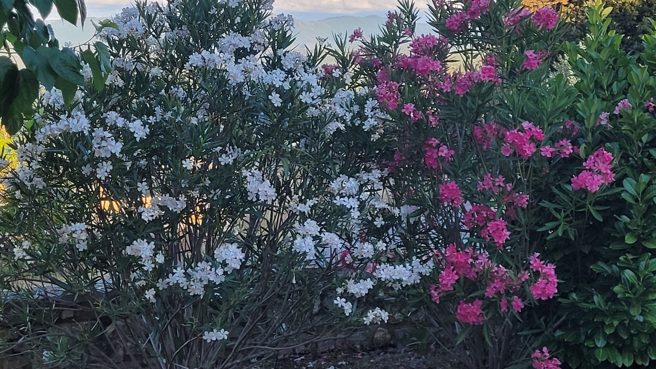 Photo of Outdoor in Grospierres