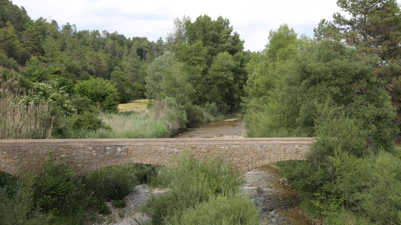 Photo of Others in Castellar de la Ribera