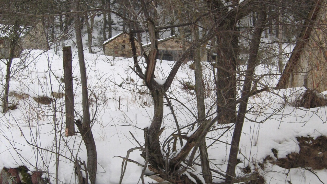 Photo of Outdoor in Saint-Alban-sur-Limagnole