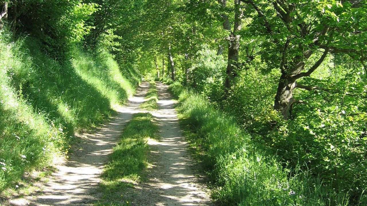 Photo of Outdoor in Saint-Alban-sur-Limagnole