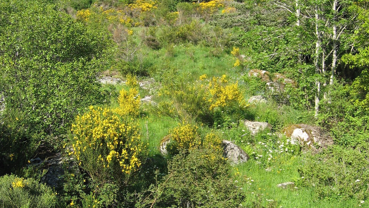 Photo of Outdoor in Saint-Alban-sur-Limagnole